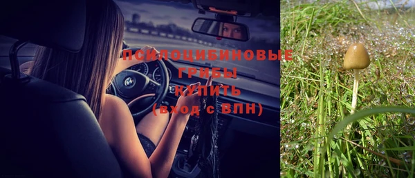 амф Алексеевка