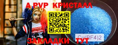 амф Донской