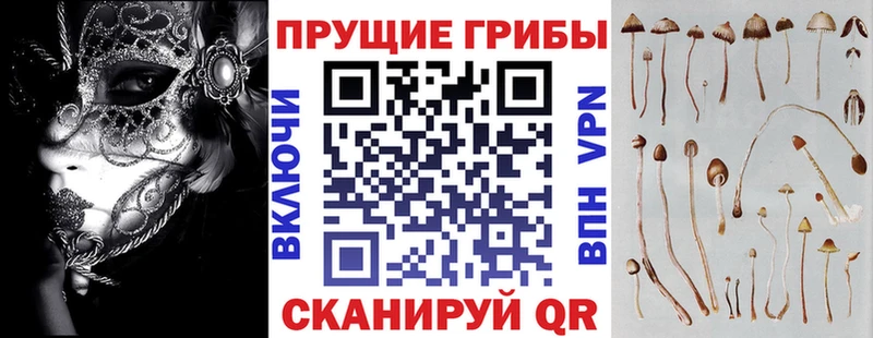 закладка  hydra онион  Псилоцибиновые грибы Psilocybine cubensis  Междуреченск 